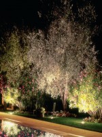 /album/galleria-foto-homepage/a2013-09-19-120220-jpg/